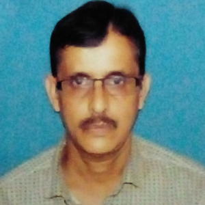 Saibal Dasgupta-Freelancer in Kolkata,India