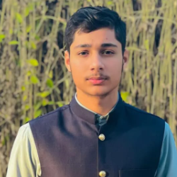 Hamza Butt-Freelancer in Lahore,Pakistan