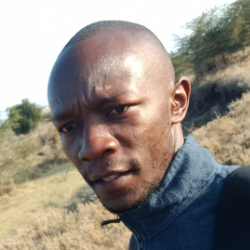 Prof Academic Researcher-Freelancer in Nairobi,Kenya