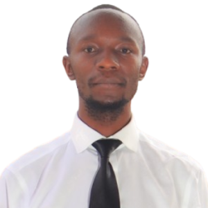 Prof Academia Research and AI-Freelancer in Nairobi,Kenya