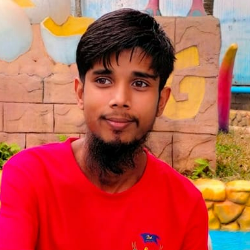 Al Amin-Freelancer in Dhaka,Bangladesh