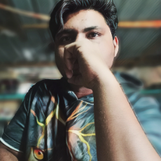 Zubair Khan-Freelancer in Adilabad,India