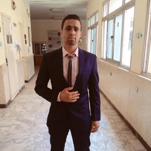 Mohamed Elseidy-Freelancer in ,Egypt
