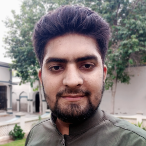 Komail Abbas-Freelancer in Dera Ismail Khan,Pakistan