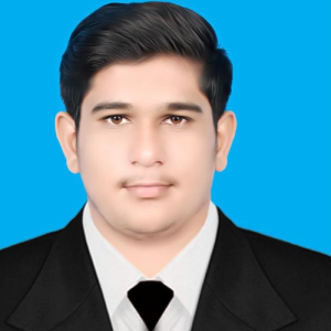 Toqeer Ahmad-Freelancer in Qila Didar Singh,Pakistan
