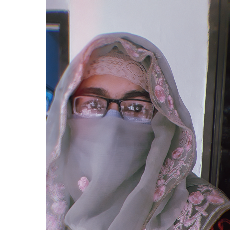 Fareeha Sadiq kallue-Freelancer in Toba tek singh,Pakistan