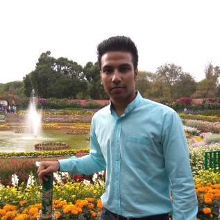 Vivek Dhiman-Freelancer in Delhi,India