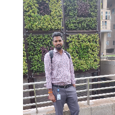 Nalluri Pardhasaradhi-Freelancer in Bengaluru,India