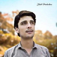 Mudeer Hussain-Freelancer in Islamabad,Pakistan