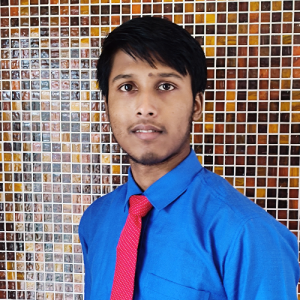 Arnab Bera-Freelancer in Ghatal,India