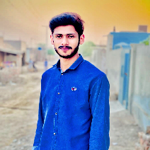 Usman Randhawa-Freelancer in Burewala,Pakistan