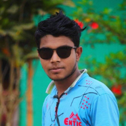 Md Mahmudul Hasan Romin-Freelancer in Panchagarh,Bangladesh
