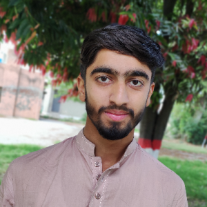 Haroon Cheema-Freelancer in Gujranwala,Pakistan