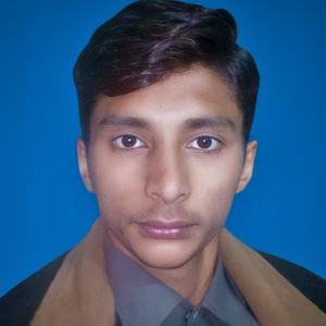 Mohsin Ali-Freelancer in Arifwala,Pakistan