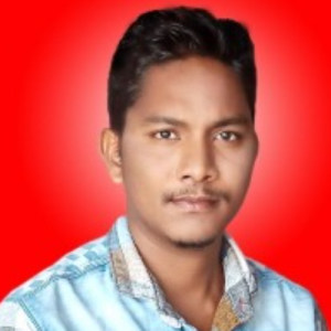 jhaleshwar nishad-Freelancer in Raipur,India