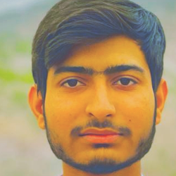 Zeeshan Nawaz-Freelancer in kalabagh,Pakistan