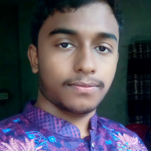 Jabir Alam Sulaiman-Freelancer in Amtali,Bangladesh