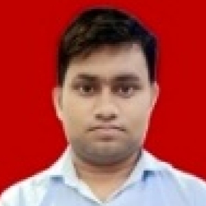 Dinesh Kumar-Freelancer in ,India