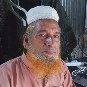 Md Amir Ali Khan-Freelancer in Tangail,Bangladesh