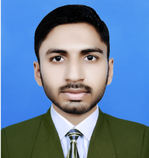 Mohsin Raza-Freelancer in Bahawalpur,Pakistan
