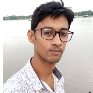 Rakibul Hasan-Freelancer in Narail,Bangladesh,Bangladesh