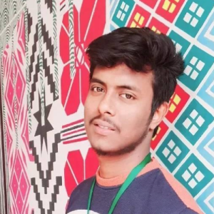 Najmul Hassan-Freelancer in Dhaka,Bangladesh