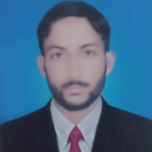 Muhammad Hamza Hamza-Freelancer in Punjab Pakistan,Pakistan