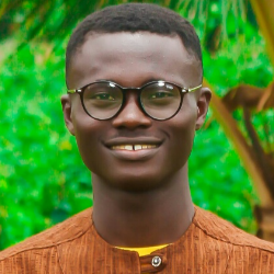 Modeste DOKPE-Freelancer in cotonou,Benin