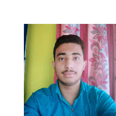 Sumit Ghosh-Freelancer in Tehatta,India