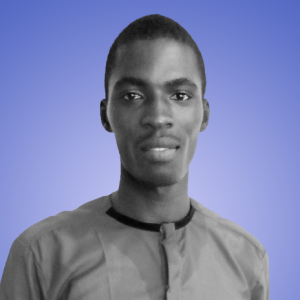 Pro_designer-Freelancer in Benin City,Nigeria