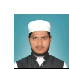 Qari Muhammad Ali Quran teacher-Freelancer in Mudhol,India