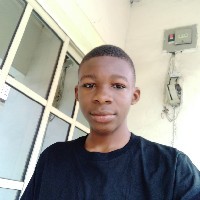 Zeal Chike-Freelancer in Obio/Akpor,Nigeria