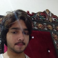 Mian Toqeer-Freelancer in Sialkot,Pakistan