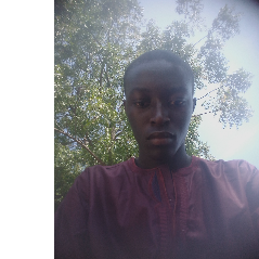 Timothy Jeremiah-Freelancer in Langtang,Nigeria