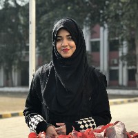 Huda N-Freelancer in Lahore,Pakistan
