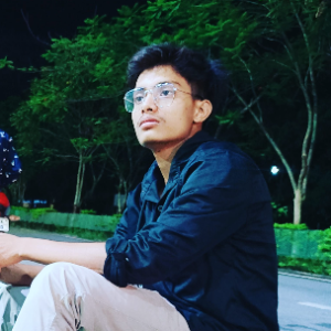 Shubham Kumar Ravi-Freelancer in Ranchi,India