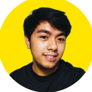 Nikko Sarate-Freelancer in Legazpi,Philippines