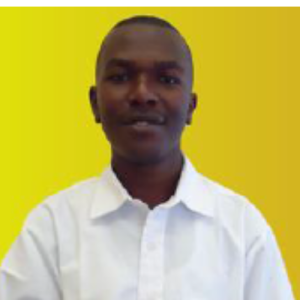 Joseph Mathenge-Freelancer in Nairobi,Kenya