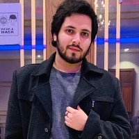 Hamza Sadiq-Freelancer in Gujrat,Pakistan