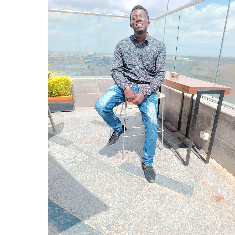 Lewis Ngatia-Freelancer in Nairobi,Kenya