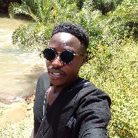 Ndinyo Sylvester-Freelancer in Nairobi,Kenya
