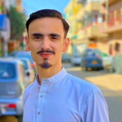 Basit Ali-Freelancer in Karachi City,Pakistan
