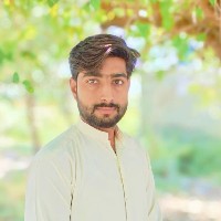 Okasha Khan-Freelancer in Dera Ghazi Khan,Pakistan