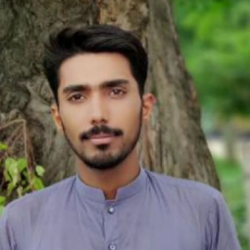 Hassan Dogar-Freelancer in Gujranwala,Pakistan