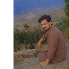 Noman Ali-Freelancer in Islamabad,Pakistan