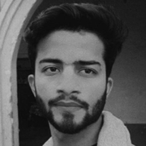 Ali Hamza-Freelancer in Malakwala, Punjab, Pakistan,Pakistan