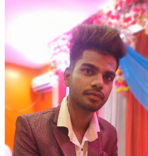 Md Ashique-Freelancer in Jhalda,India