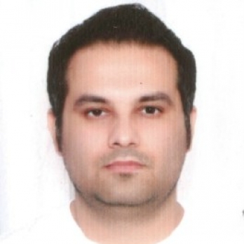 Naveen Chauhan-Freelancer in Chandigarh Area, India,India