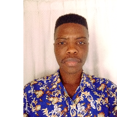 Theophilus Hemba-Freelancer in Lekki,Nigeria