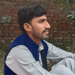 Raza Basheer5566-Freelancer in Sargodha,Pakistan
